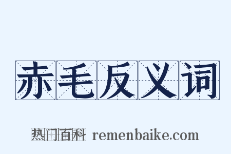 赤毛反义词是什么意思的图片